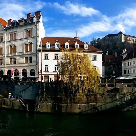 Riverbank In Centre!
